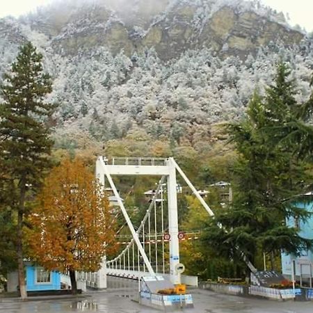 Tamarioni Otel Borjomi Dış mekan fotoğraf