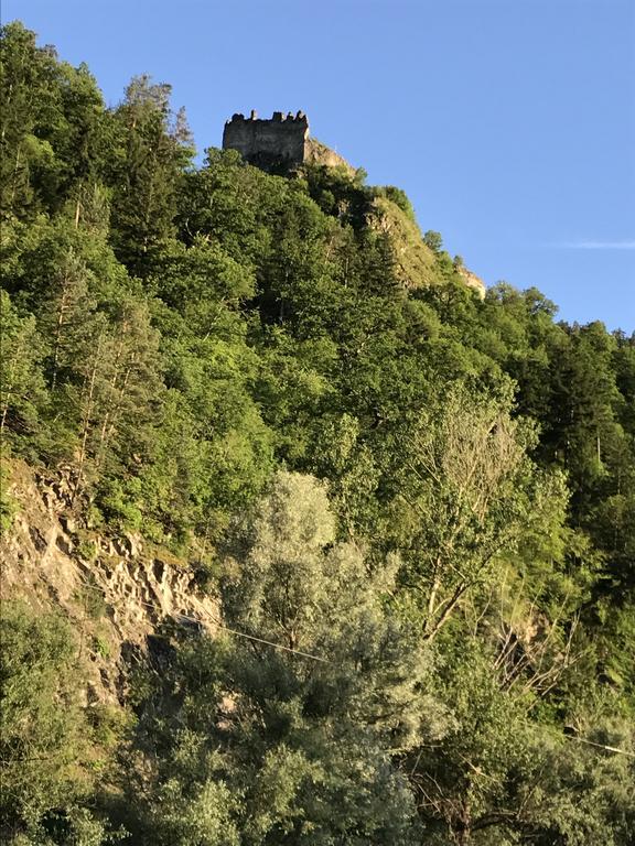 Tamarioni Otel Borjomi Dış mekan fotoğraf