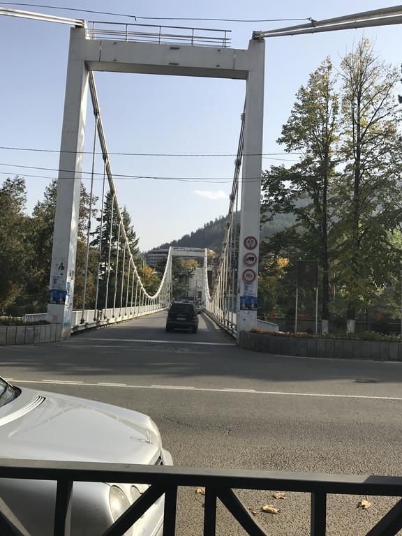 Tamarioni Otel Borjomi Dış mekan fotoğraf