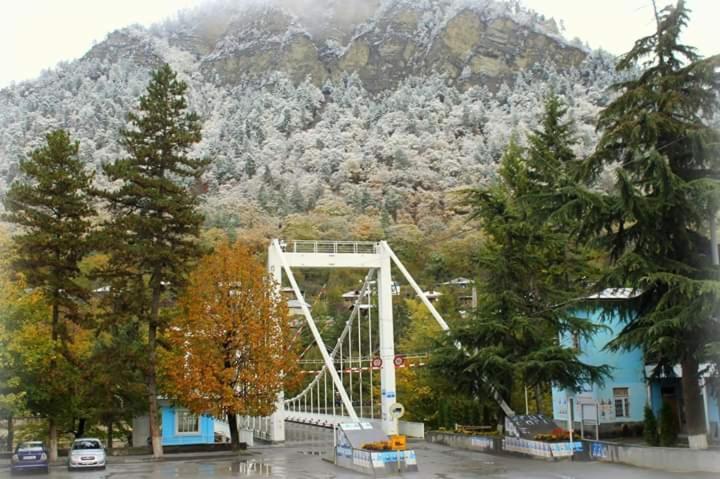 Tamarioni Otel Borjomi Dış mekan fotoğraf