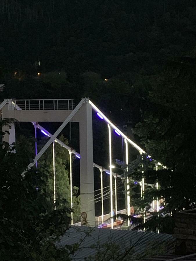 Tamarioni Otel Borjomi Dış mekan fotoğraf